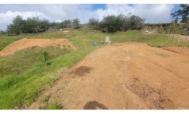 Vereda  de lonte en San vicente vereda Santa Rita 