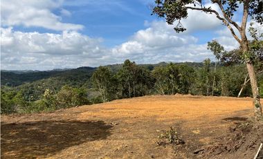 Venta de Lote en San Vicente  vereda Montegrande