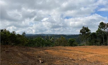 Venta de Lote en San Vicente  vereda Montegrande