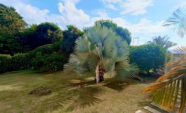 VENTA DE CASA CAMPESTRE DE 1100 M2 EN 650 MILL EN LA MESA CUND