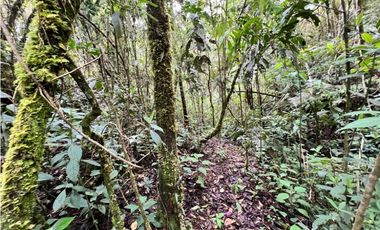 Venta de Lote en el Retiro