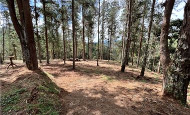 Venta de Lote en el Retiro