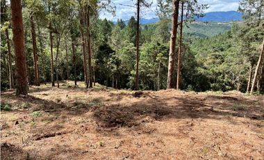 Venta de Lote en el Retiro