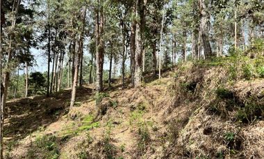 Venta de Lote en el Retiro