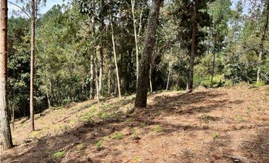 Venta de Lote en el Retiro