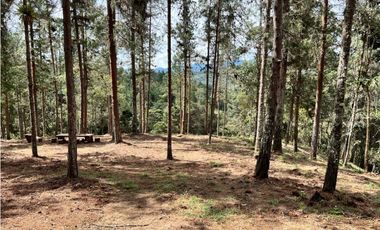 Venta de Lote en el Retiro