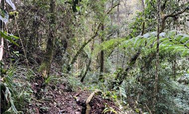 Venta de Lote en el Retiro