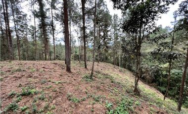 Venta de Lote en el Retiro