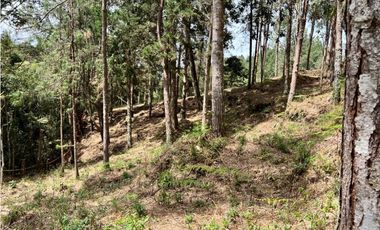 Venta de Lote en el Retiro