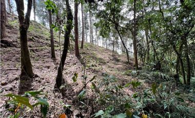 Venta de Lote en el Retiro