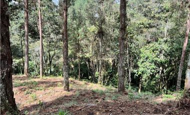 Venta de Lote en el Retiro