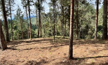 Venta de Lote en el Retiro