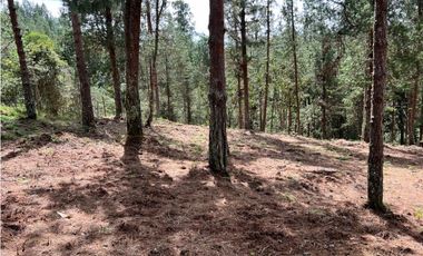 Venta de Lote en el Retiro