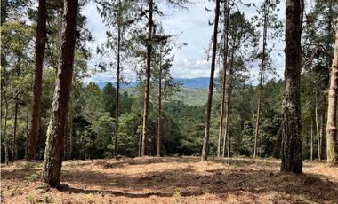 Venta de Lote en el Retiro