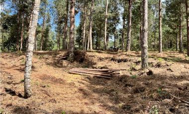 Venta de Lote en el Retiro