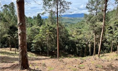 Venta de Lote en el Retiro