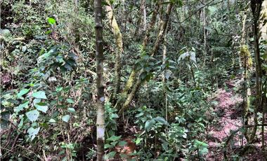 Venta de Lote en el Retiro