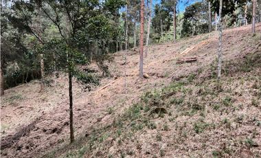 Venta de Lote en el Retiro