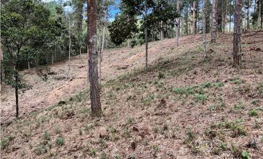 Venta de Lote en el Retiro