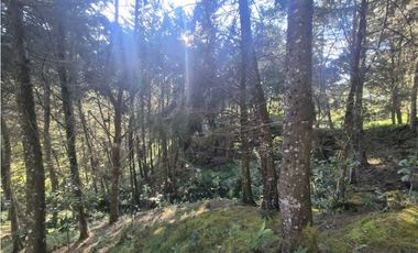 Venta de Lote en el Retiro