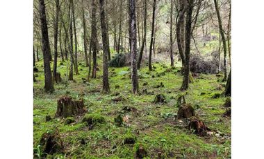 Venta de Lote en el Retiro
