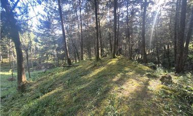 Venta de Lote en el Retiro