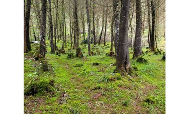 Venta de Lote en el Retiro