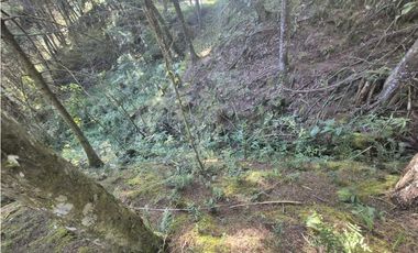 Venta de Lote en el Retiro