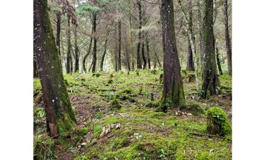 Venta de Lote en el Retiro