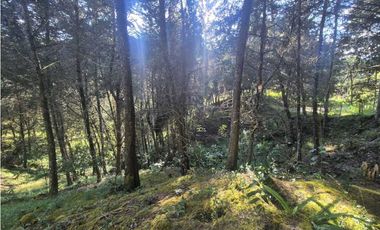 Venta de Lote en el Retiro