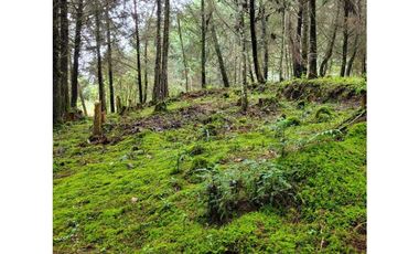 Venta de Lote en el Retiro