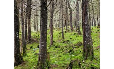 Venta de Lote en el Retiro