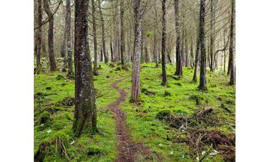 Venta de Lote en el Retiro