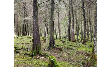 Venta de Lote en el Retiro