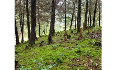 Venta de Lote en el Retiro