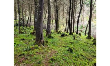 Venta de Lote en el Retiro