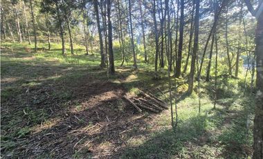 Venta de Lote en el Retiro