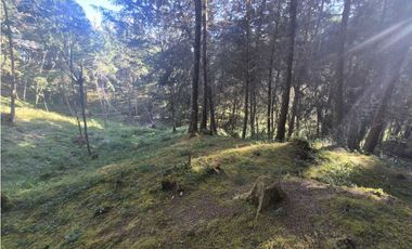 Venta de Lote en el Retiro