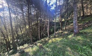 Venta de Lote en el Retiro