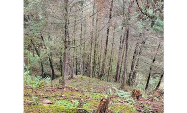 Venta de Lote  en el retiro