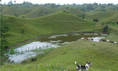 FINCA GANADERA