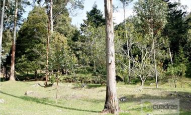 finca en el Retiro sector