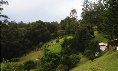 FINCA VENTA VIA SAN ANTONIO LA CEJA DE 14.050 M2