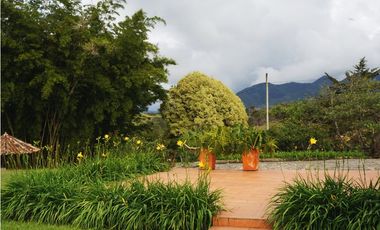 FINCA VENTA VIA SAN ANTONIO LA CEJA DE 14.050 M2