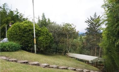 FINCA VENTA VIA SAN ANTONIO LA CEJA DE 14.050 M2