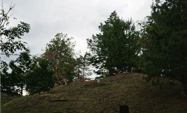 FINCA VENTA VIA SAN ANTONIO LA CEJA DE 14.050 M2