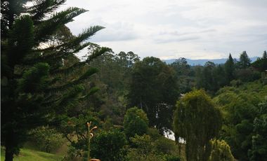 FINCA VENTA VIA SAN ANTONIO LA CEJA DE 14.050 M2