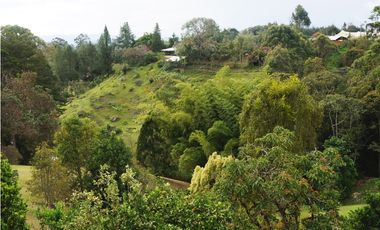 FINCA VENTA VIA SAN ANTONIO LA CEJA DE 14.050 M2