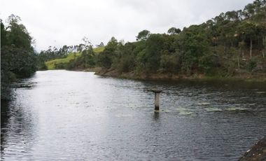 FINCA VENTA VIA SAN ANTONIO LA CEJA DE 14.050 M2