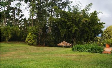 FINCA VENTA VIA SAN ANTONIO LA CEJA DE 14.050 M2